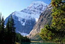  字母哥复出首秀出彩，纽约尼克斯主场大胜曼联，豪取25连胜